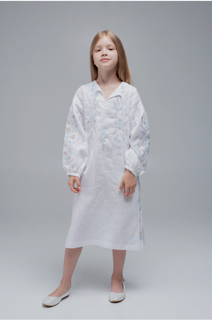 Embroidered dress White/Triytsia | 116