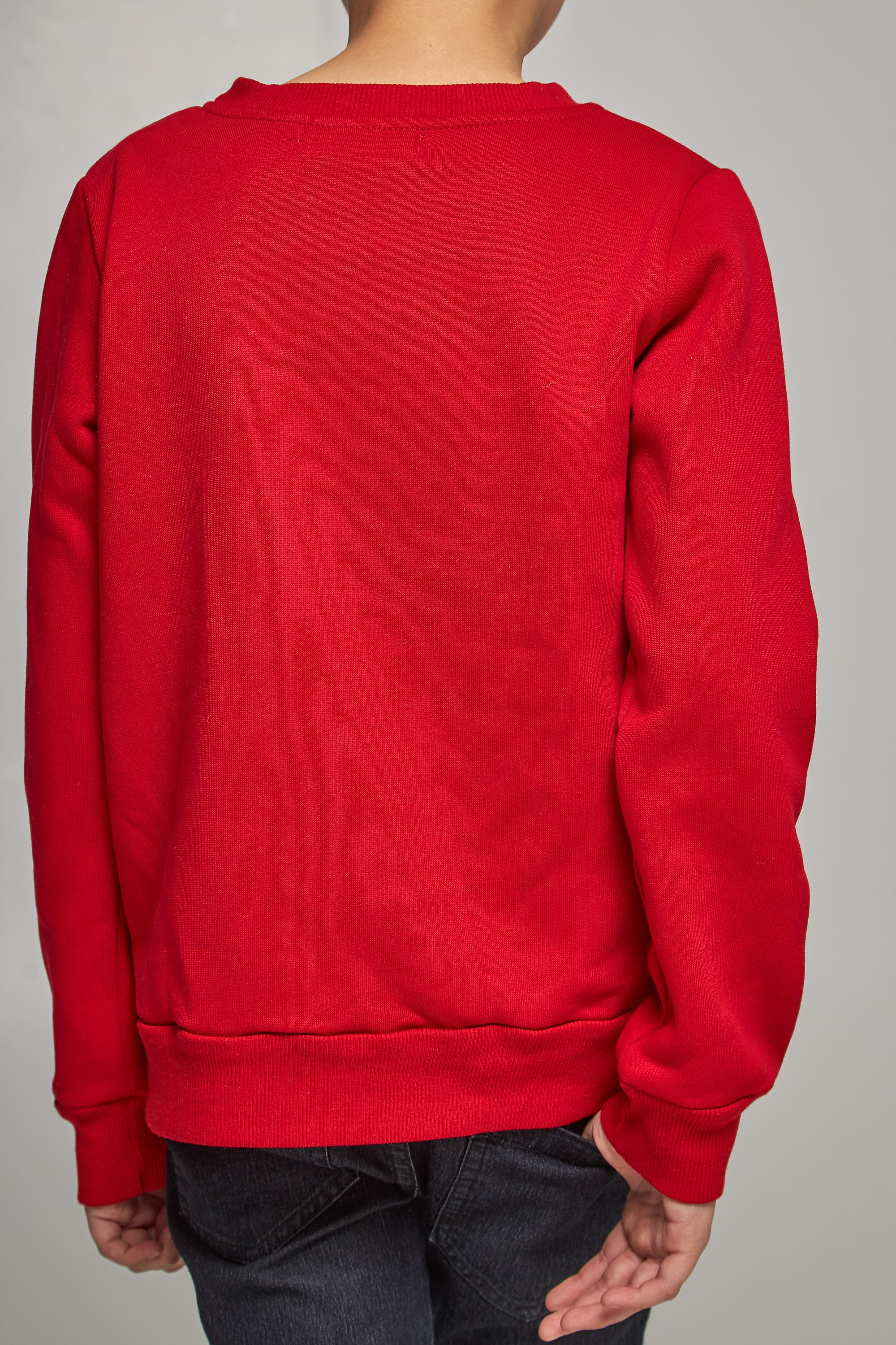 Christmas sweatshirt for boys with deer | 80