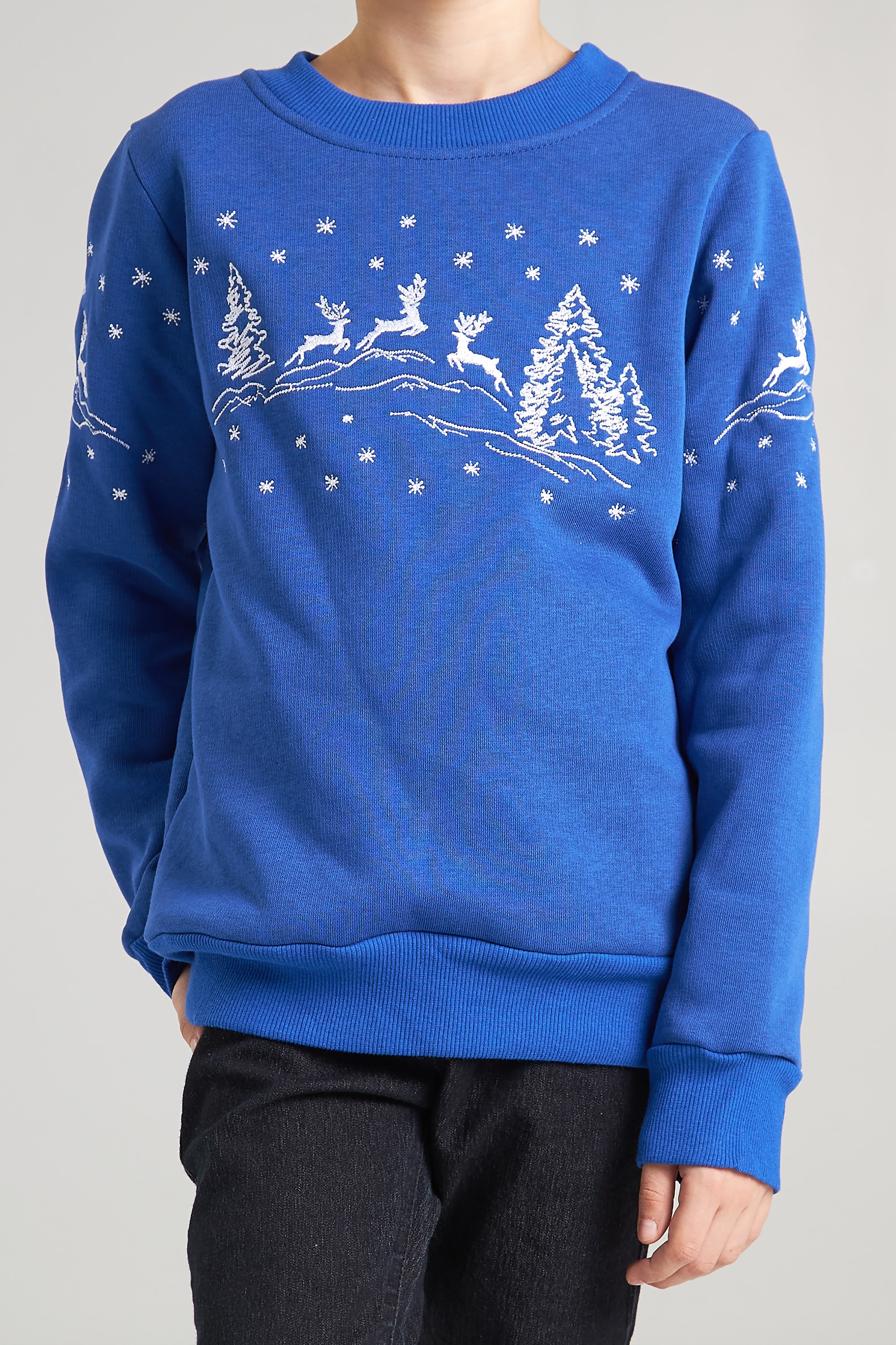 Christmas sweatshirt for a boy deer, electrician | 92