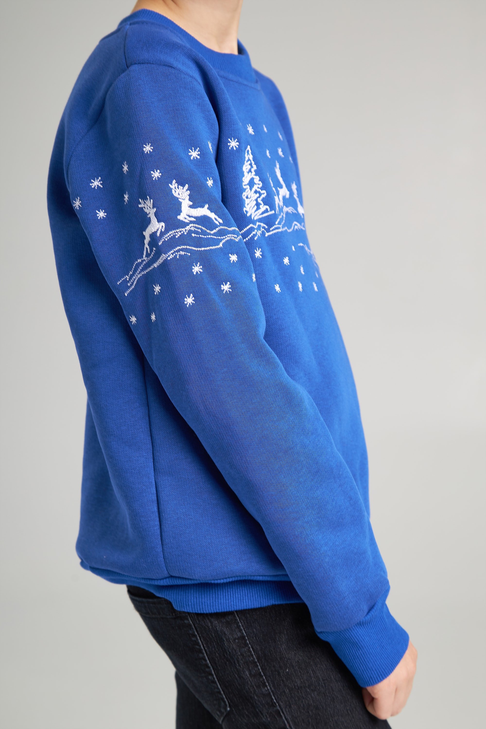 Christmas sweatshirt for a boy deer, electrician