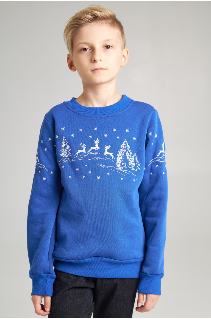 Christmas sweatshirt for a boy deer, electrician | 92