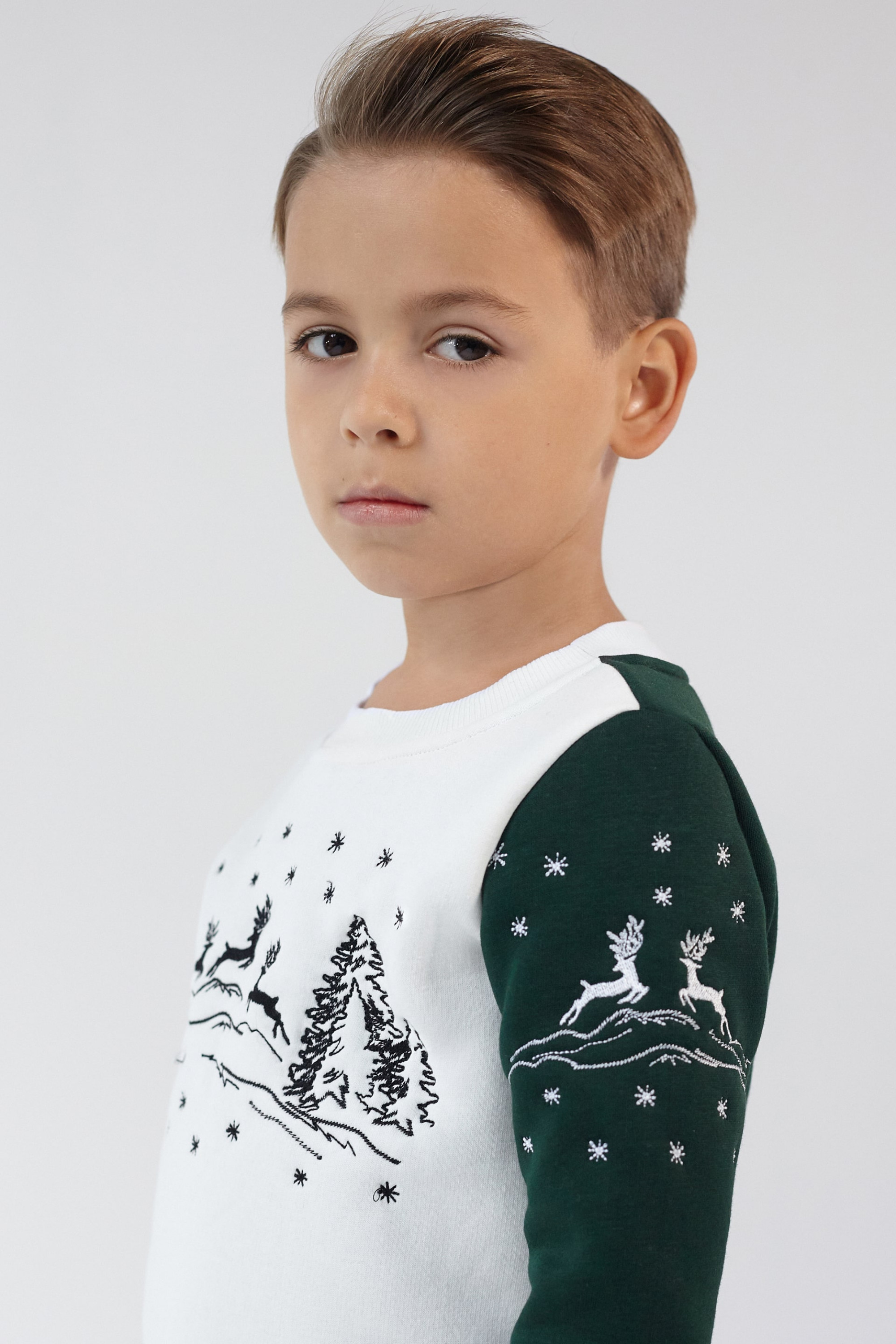 Christmas sweatshirt for a boy Green Deer | 80