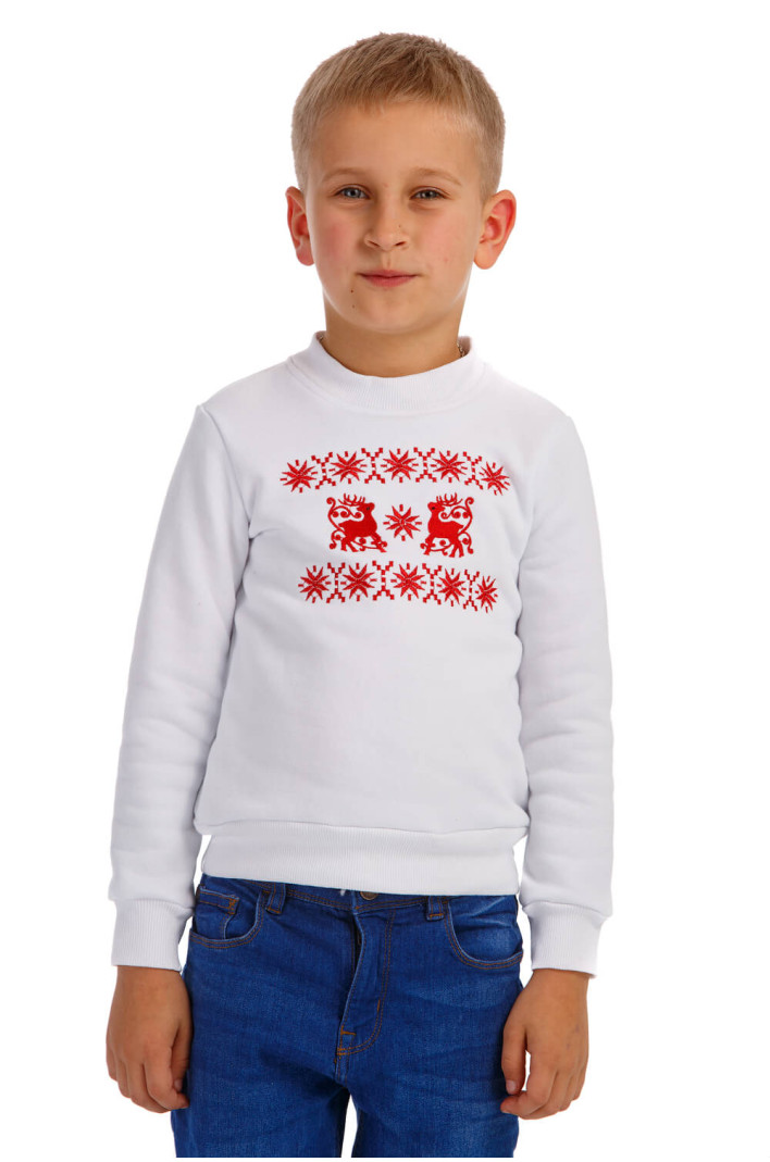 Christmas sweatshirt for boys with deer | 116
