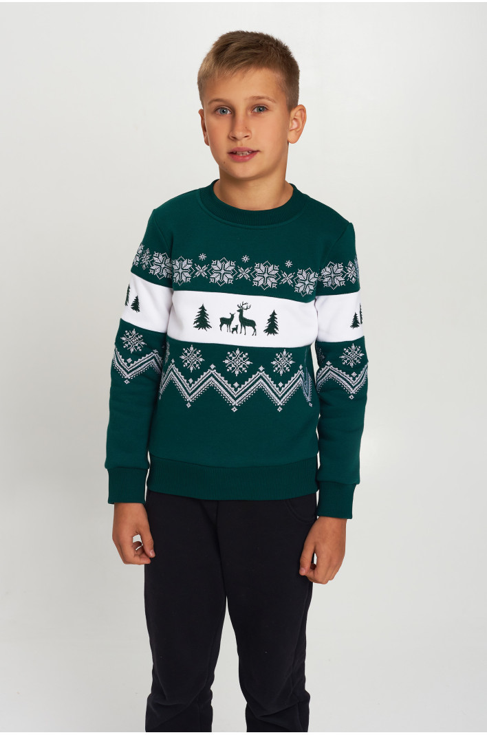 Christmas sweatshirt for a boy green