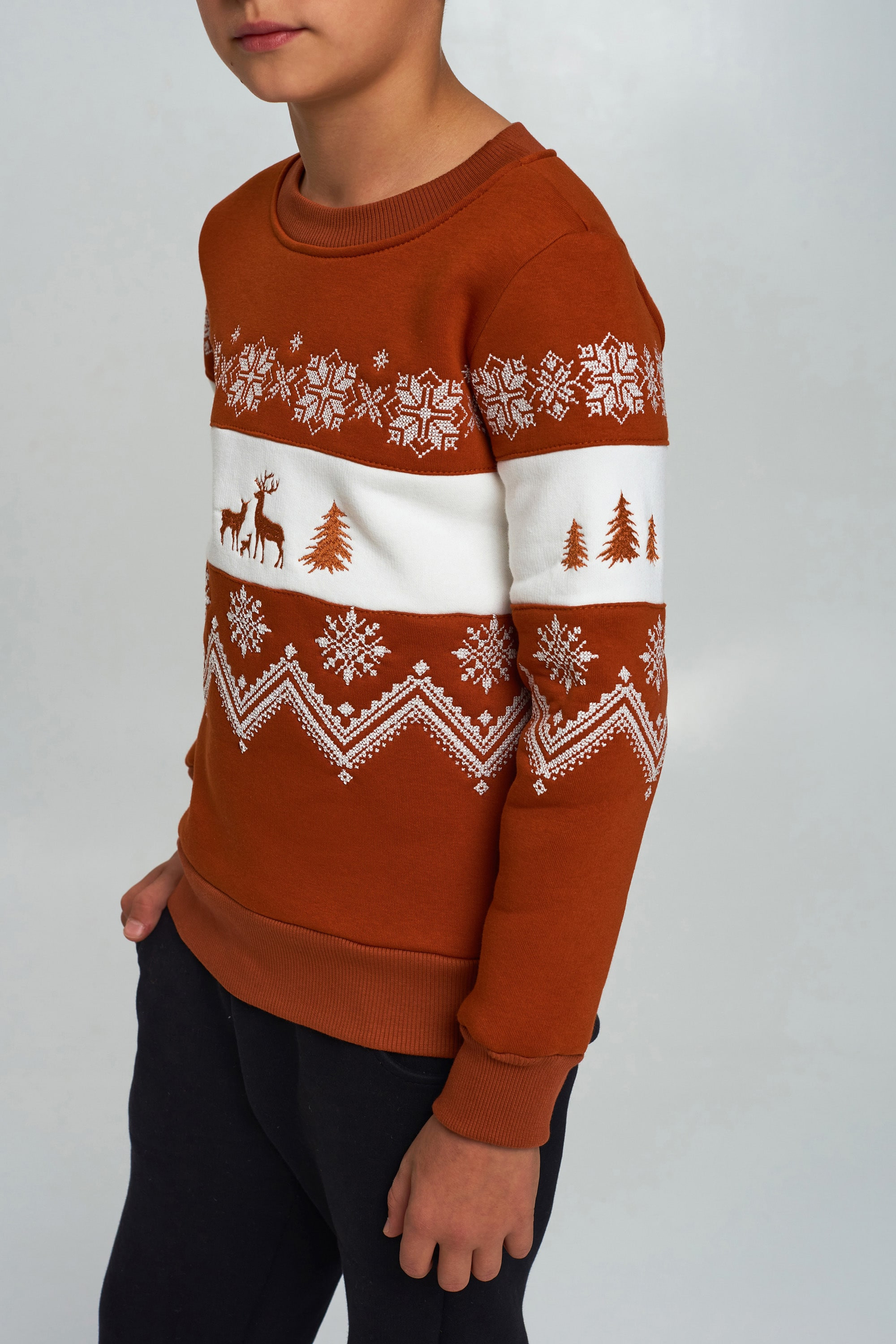 Christmas sweatshirt for a boy brown