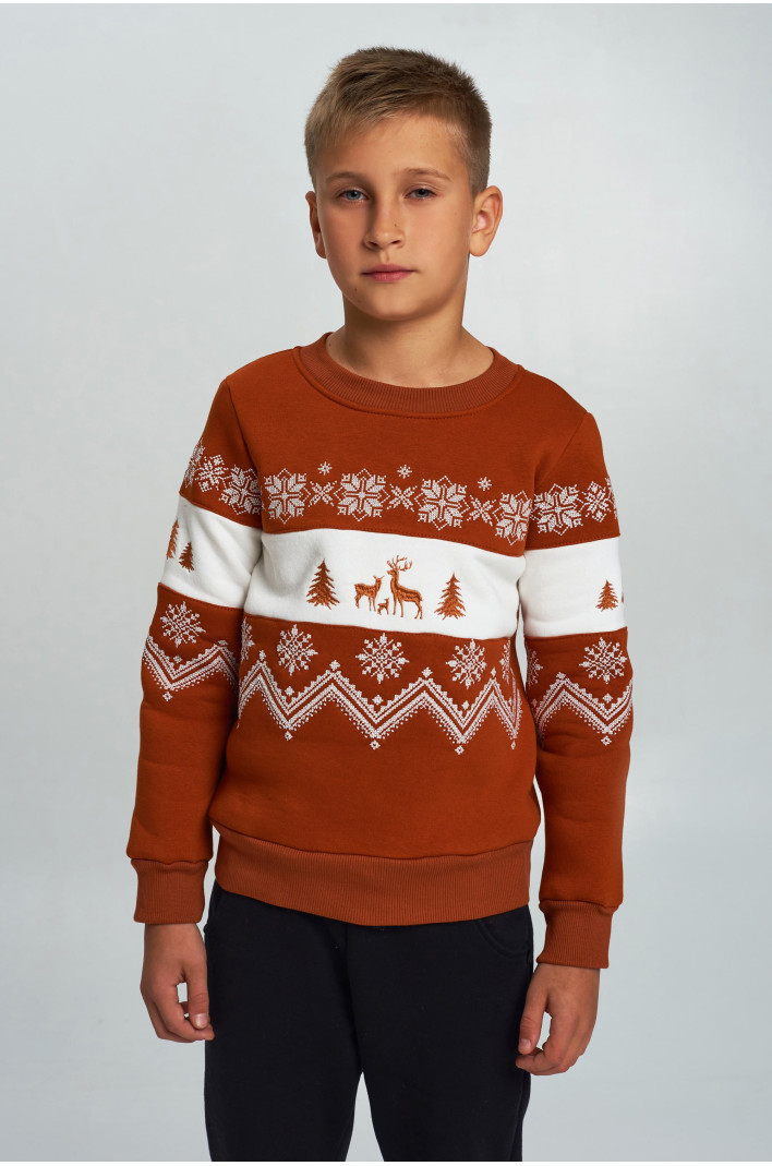 Christmas sweatshirt for a boy brown