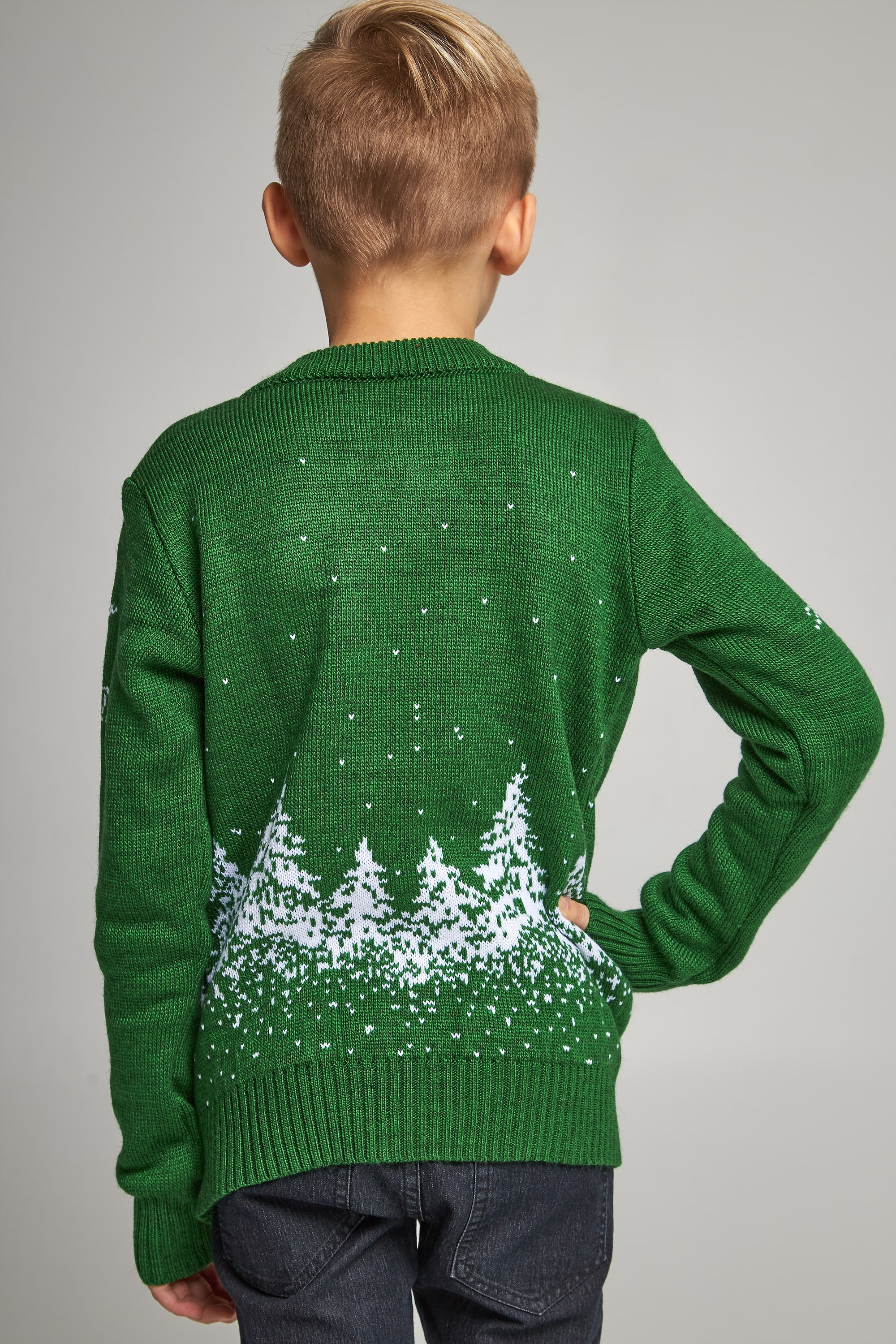 Knitted sweater for a boy Santa Claus with deer green | 104-110