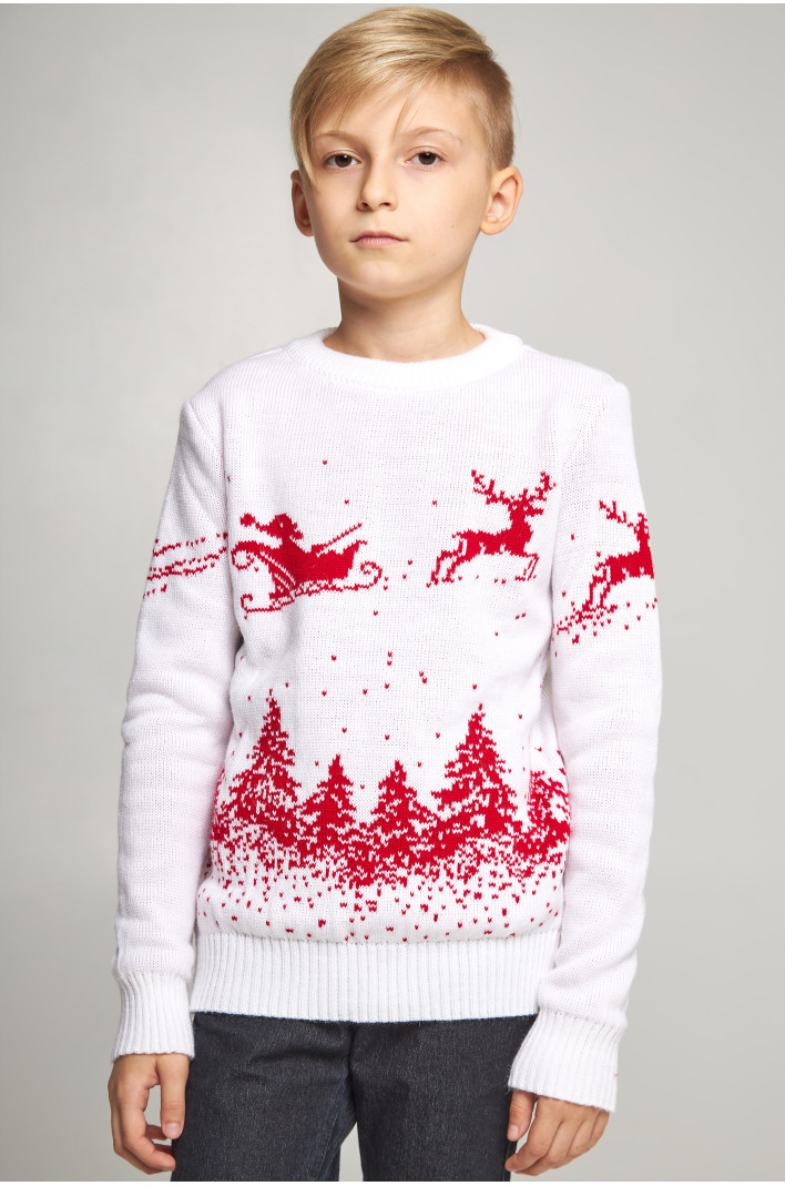 Knitted sweater for a boy Santa Claus with deer white | 104-110