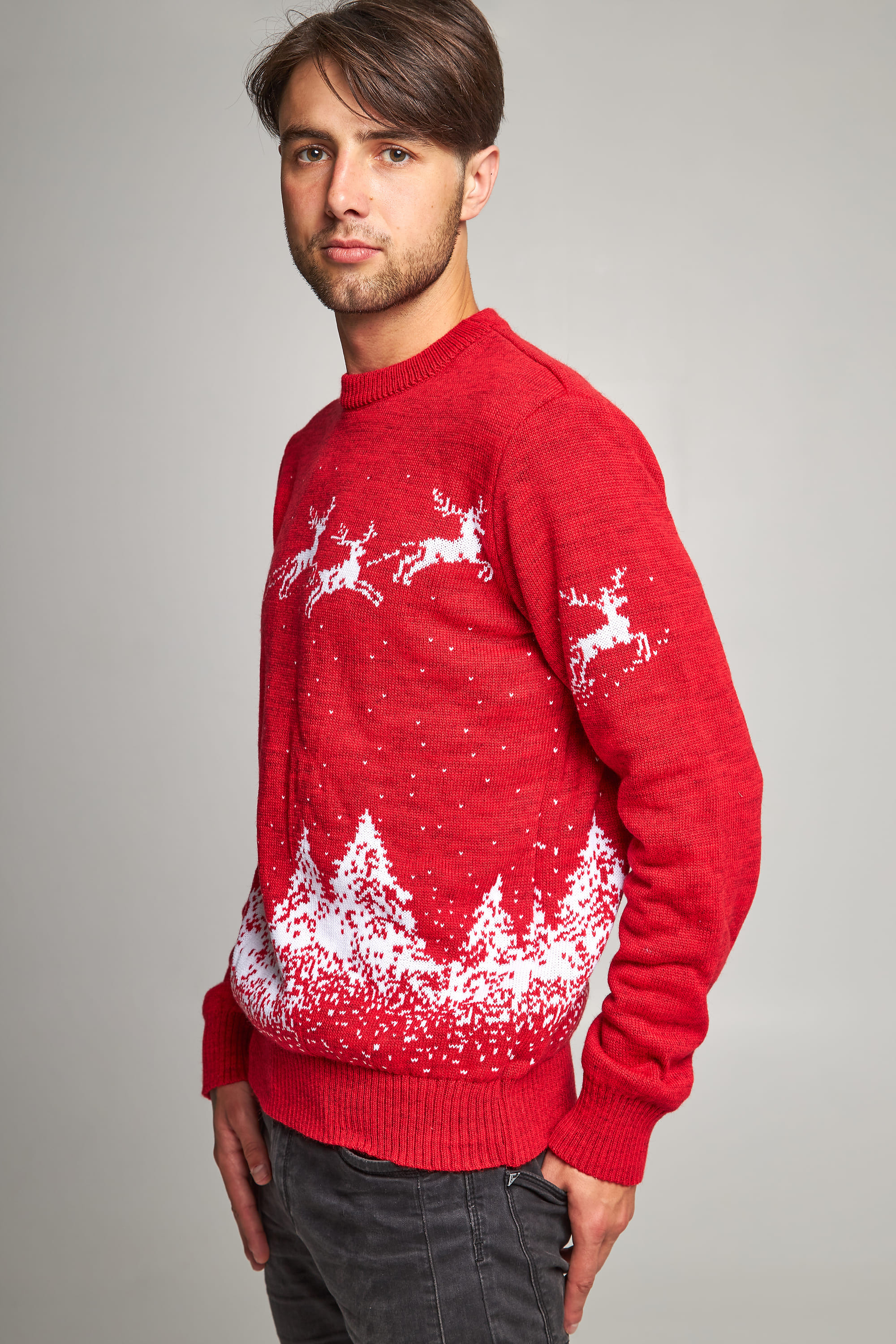 Male New Year's knitted sweater with deer 2 | S
