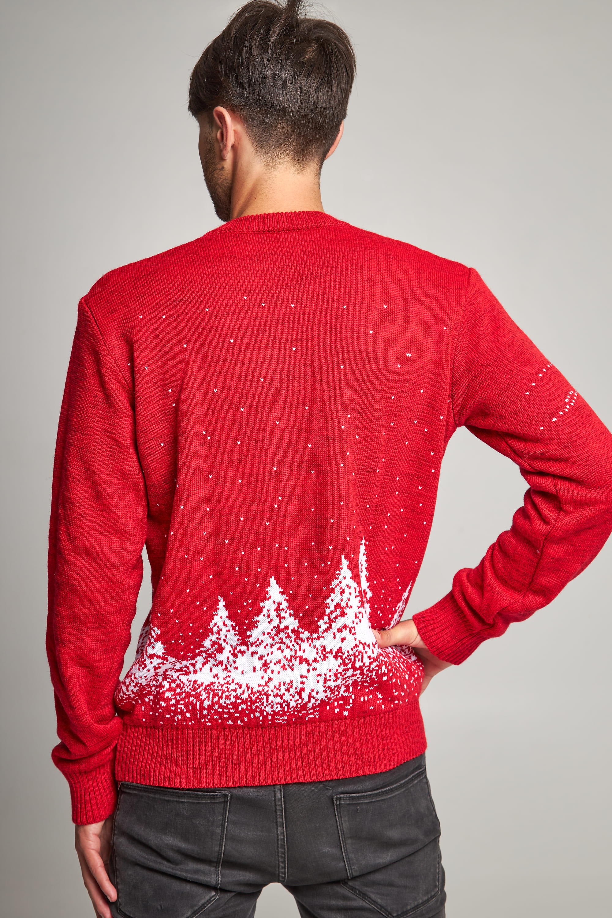 Male New Year's knitted sweater with deer 2 | S