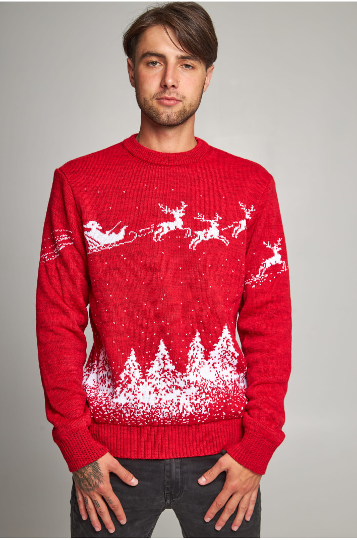 Male New Year's knitted sweater with deer 2 | S