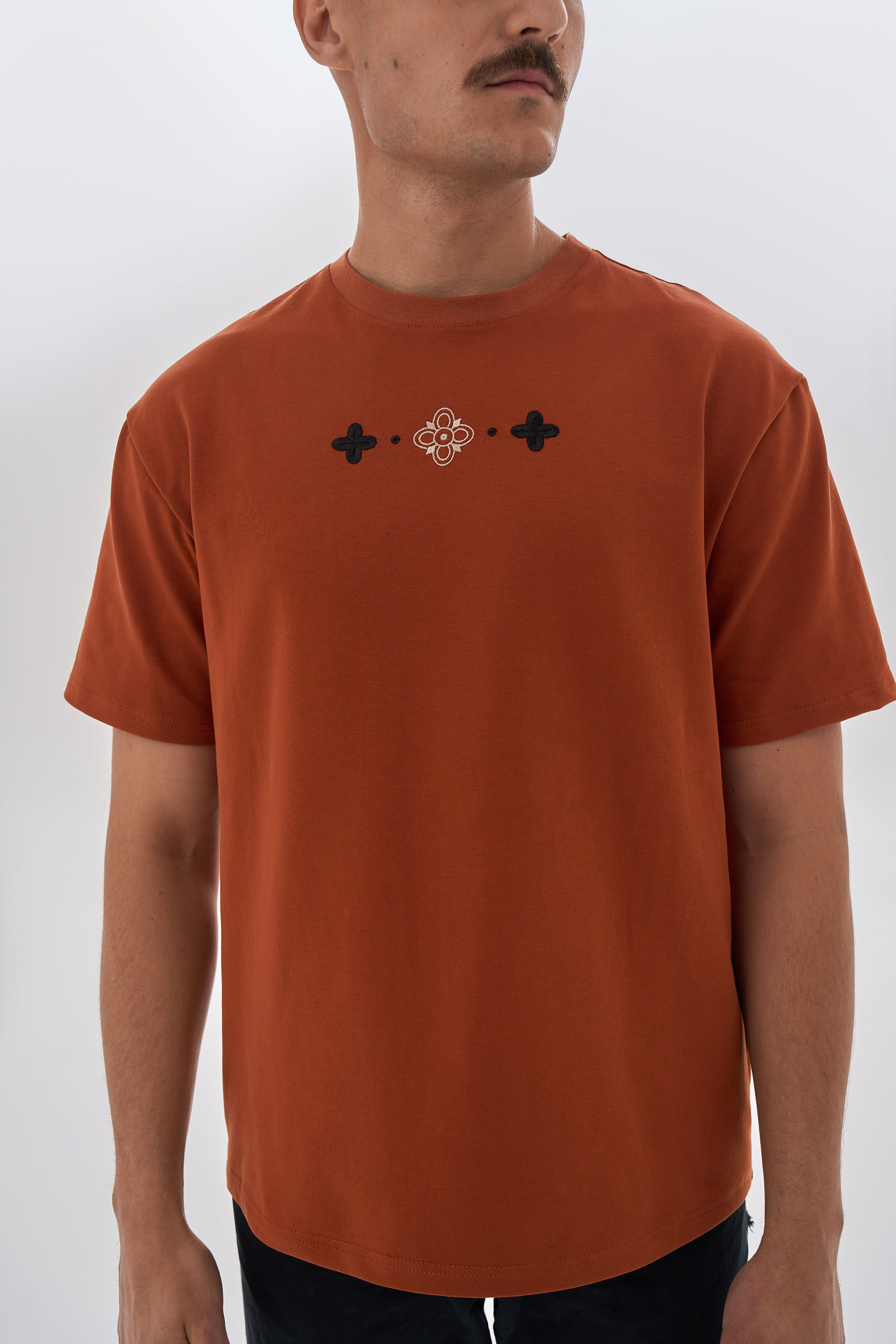 Men's embroidered brown T-shirt Buda | XS-S