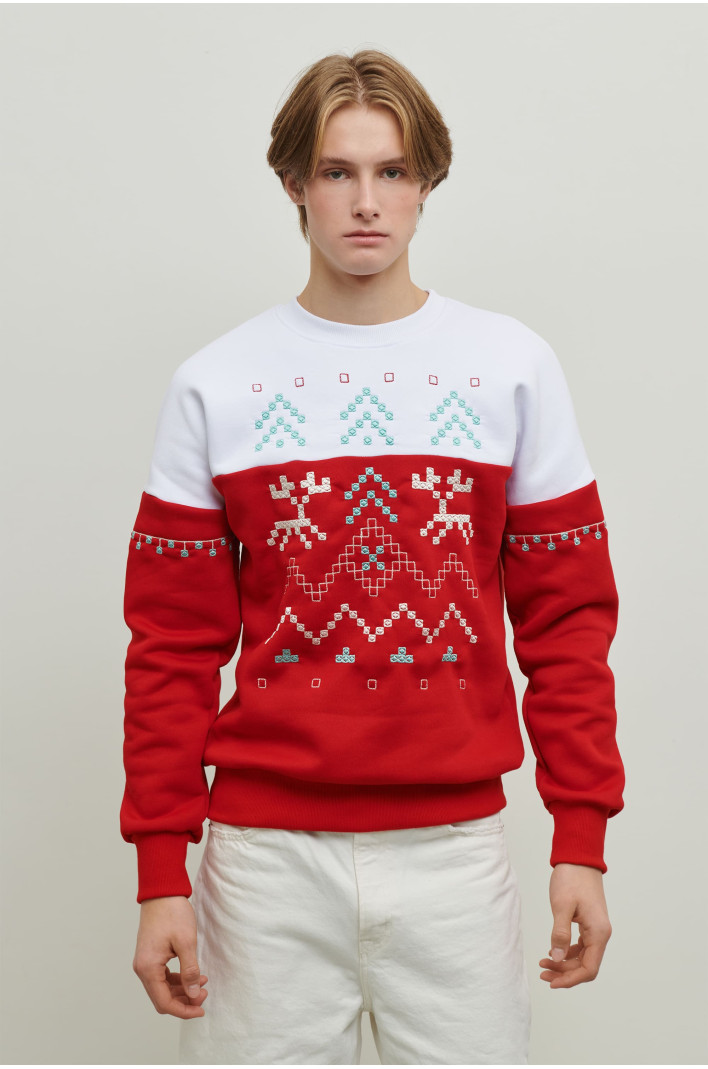 Men's embroidered sweatshirt December 6 | S