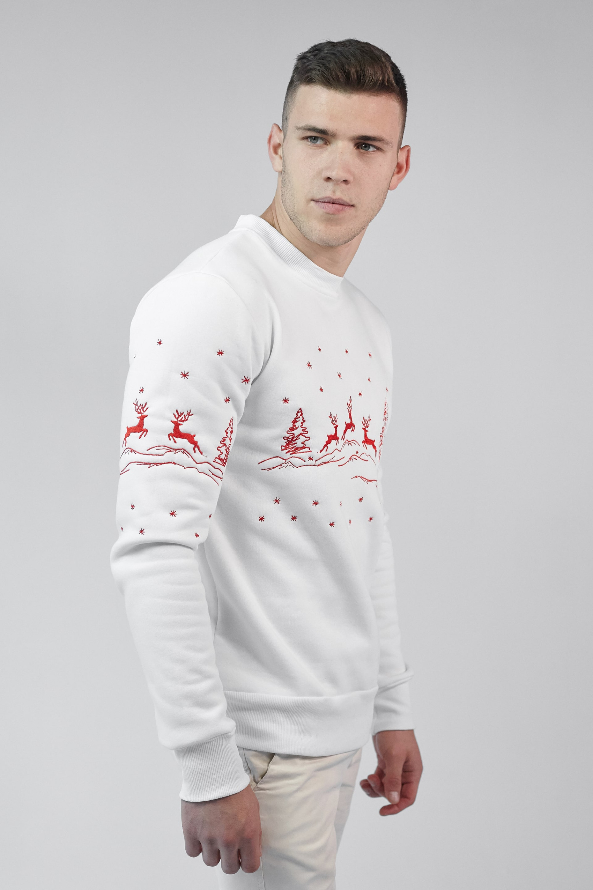 Christmas male sweatshirt with deer White | S