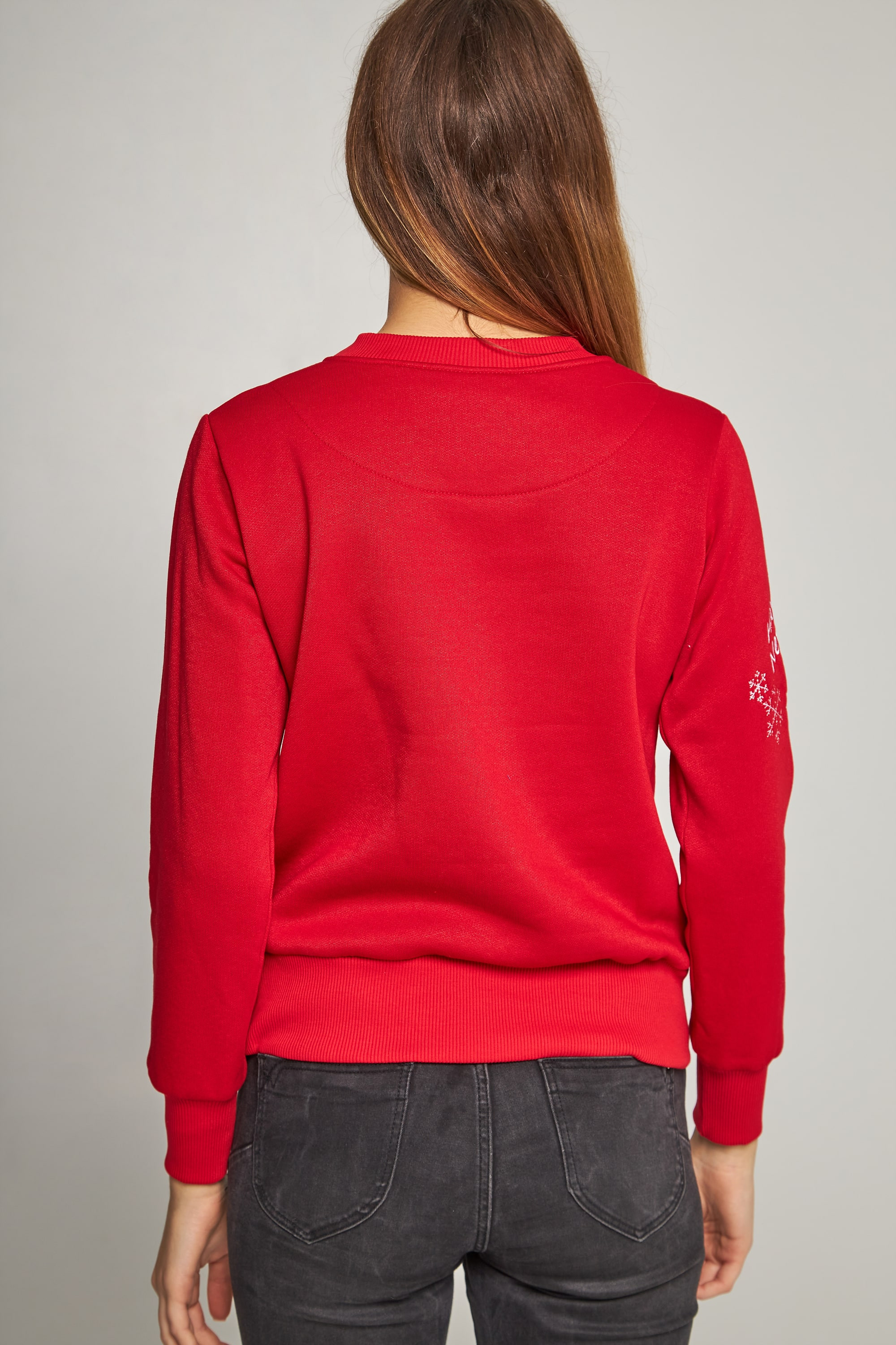 Women's New Year's embroidered sweatshirt Santa Claus Red