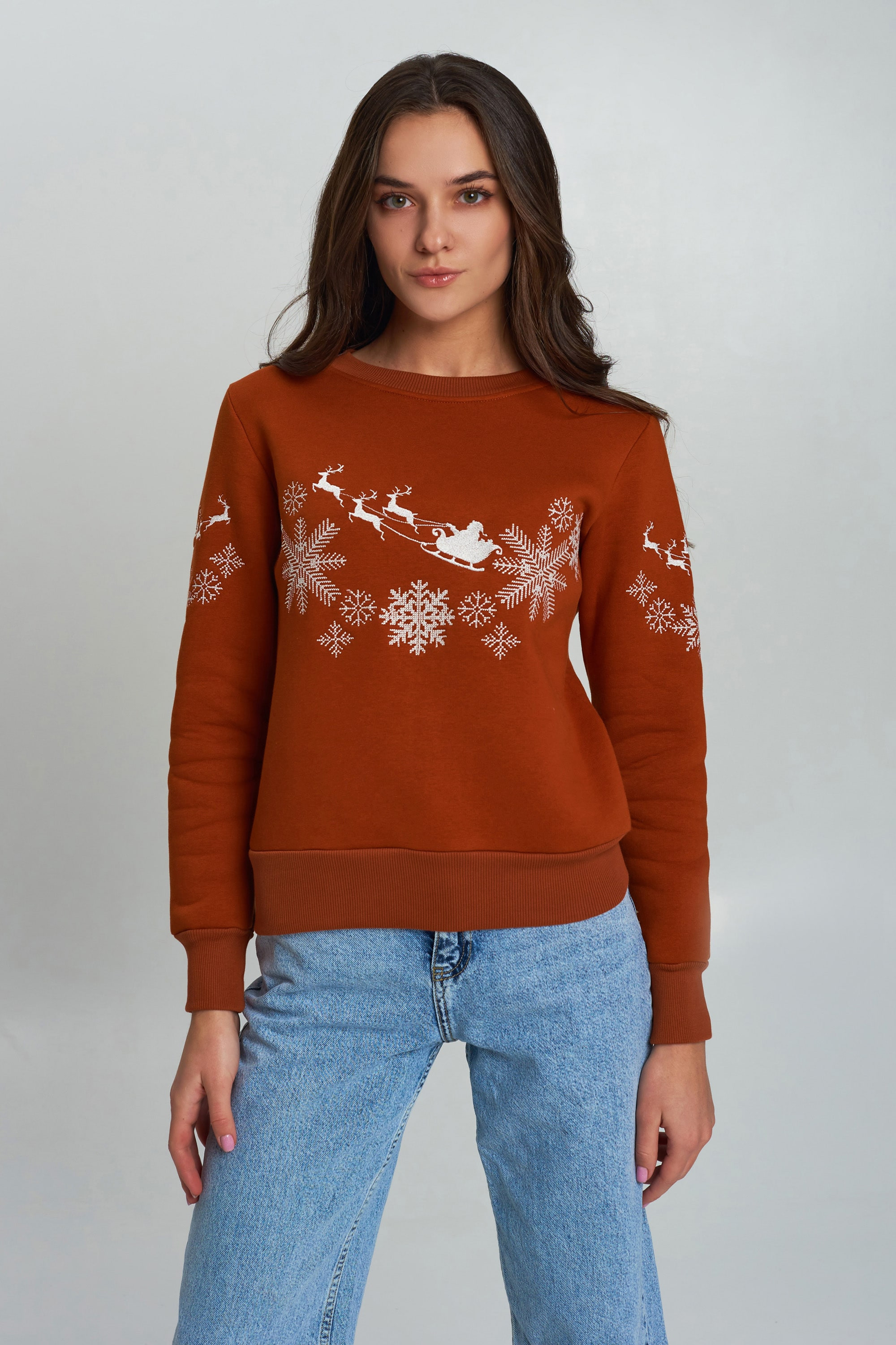 New Year's sweater Women's brown with Santa Claus