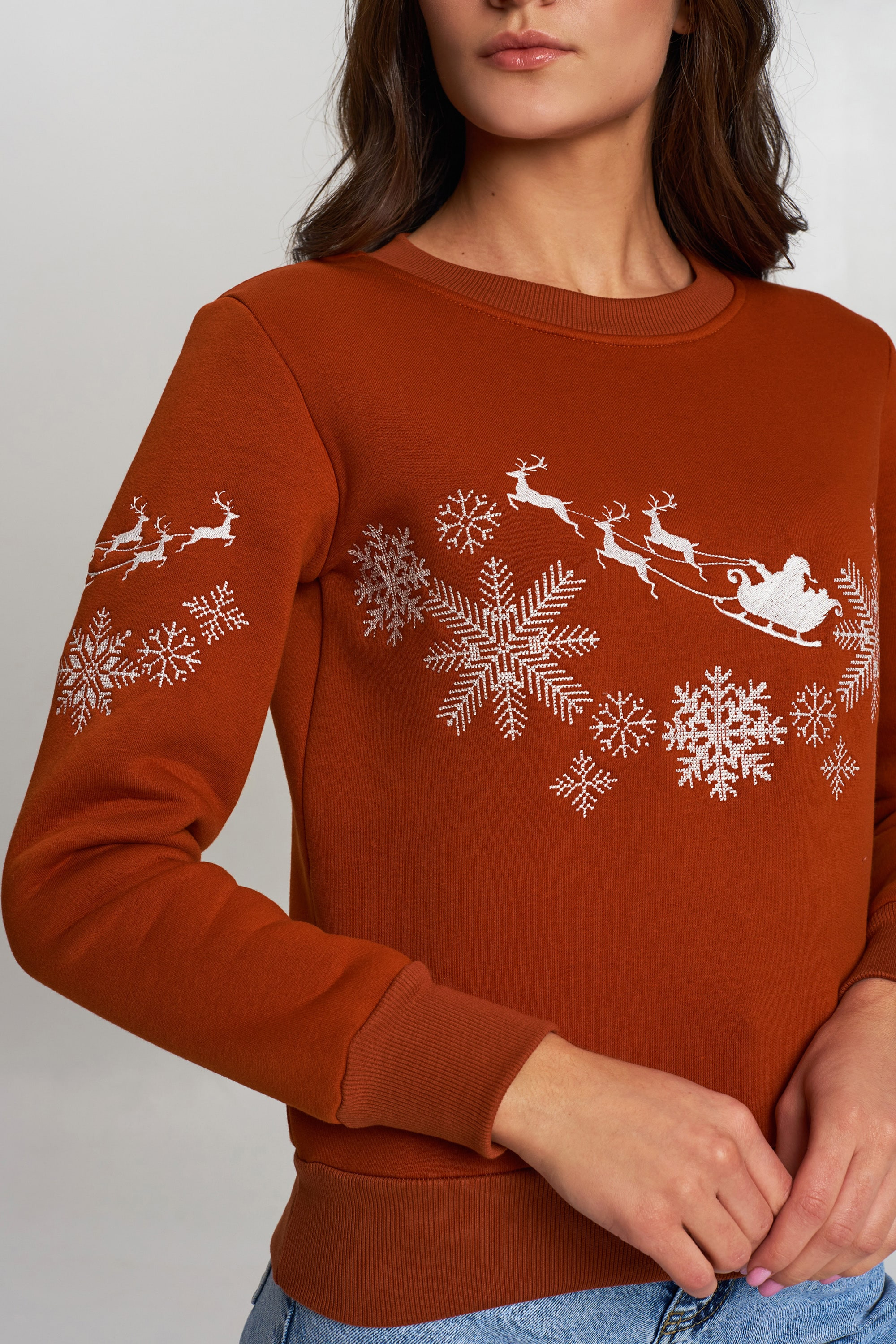 New Year's sweater Women's brown with Santa Claus