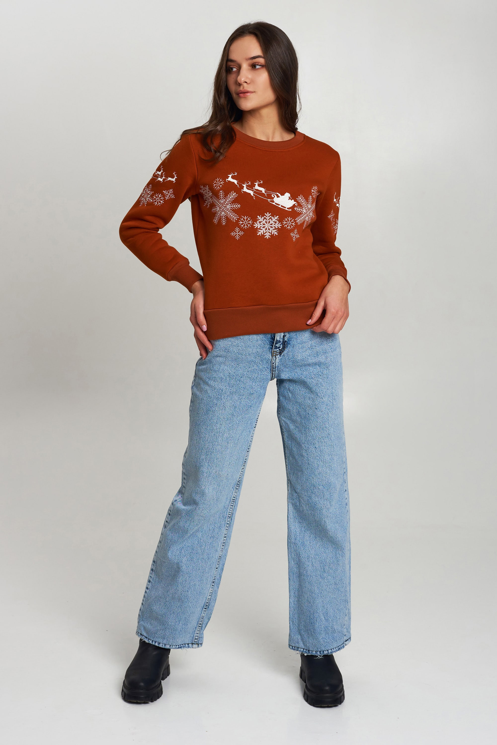New Year's sweater Women's brown with Santa Claus