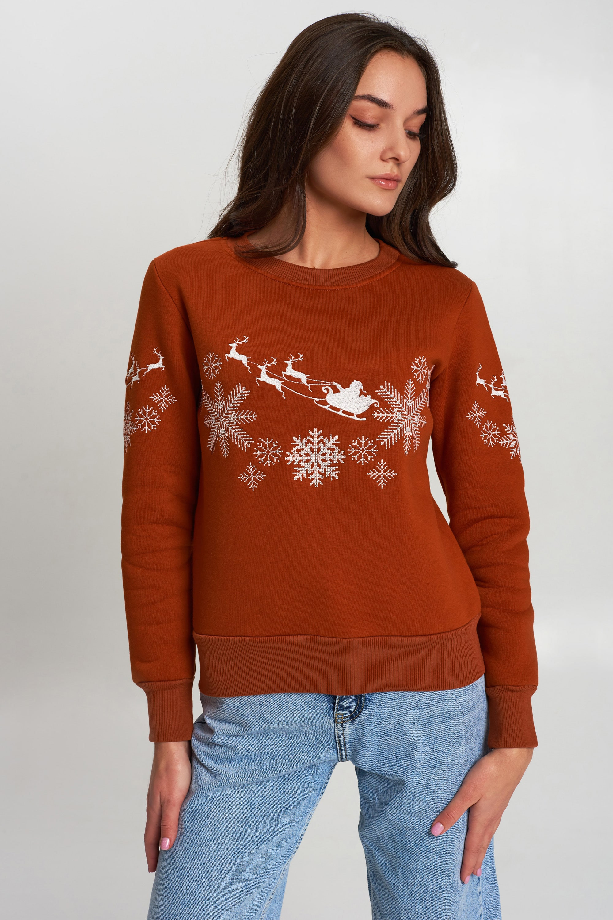 New Year's sweater Women's brown with Santa Claus