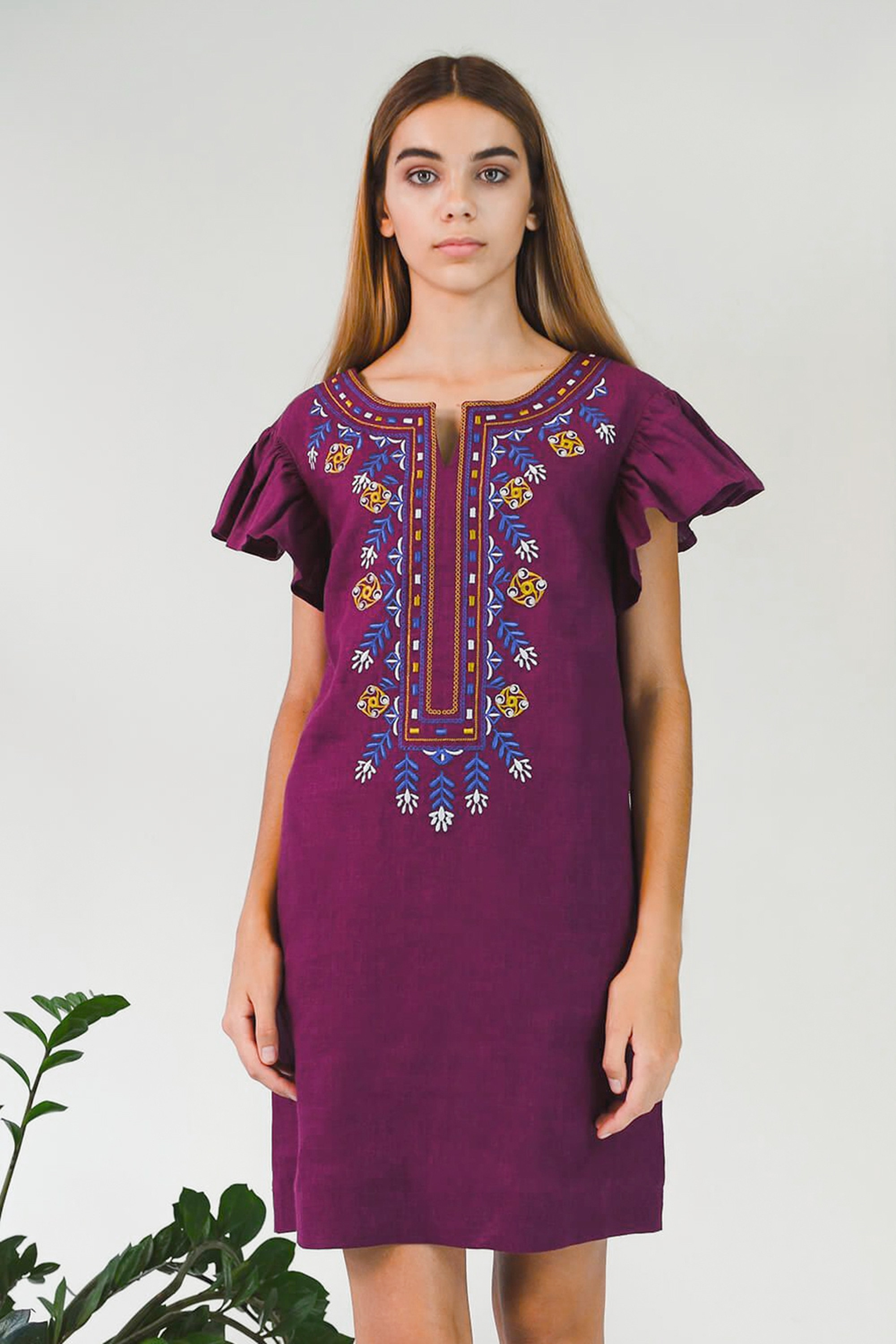 Women's embroidered dress Plum
