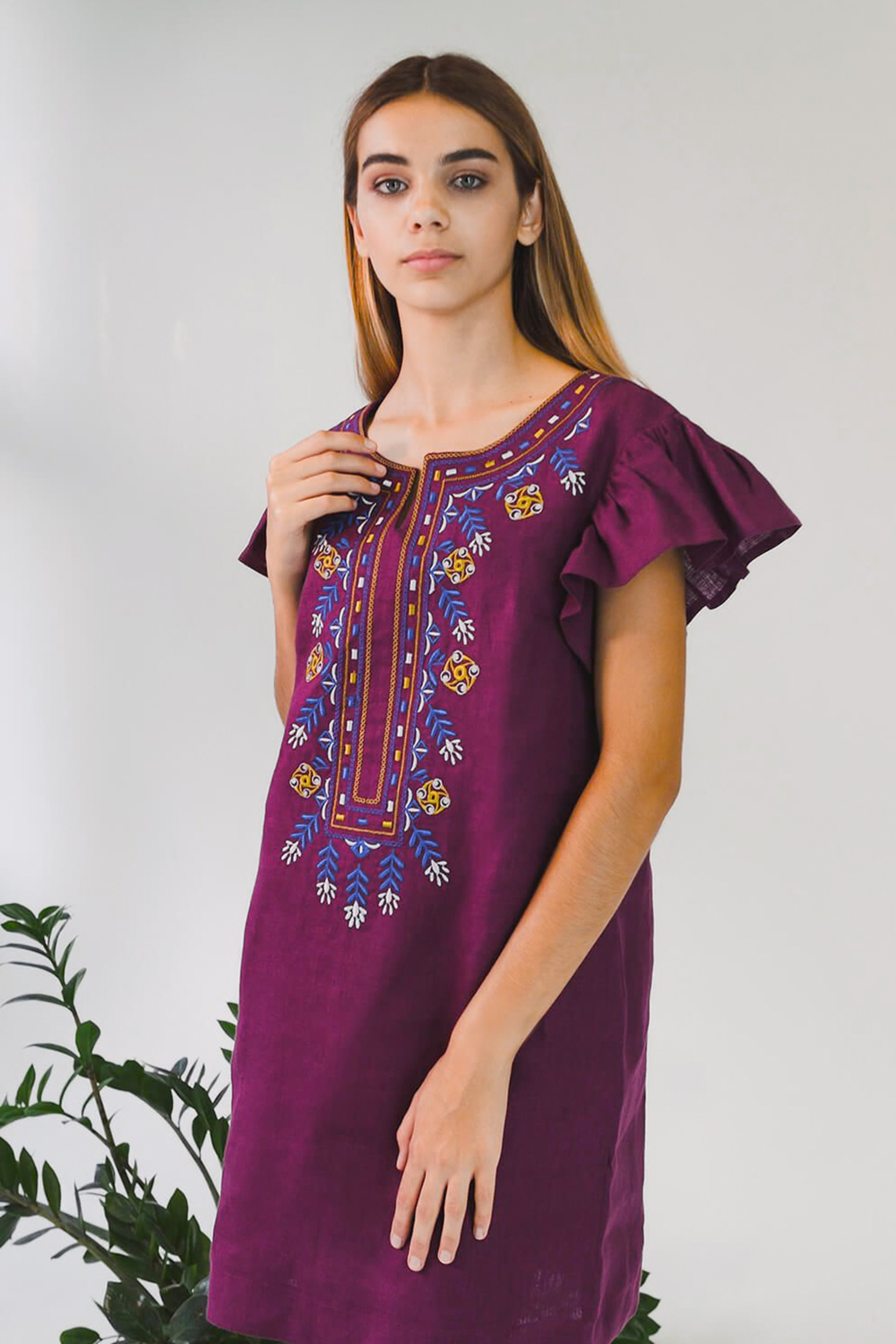 Women's embroidered dress Plum